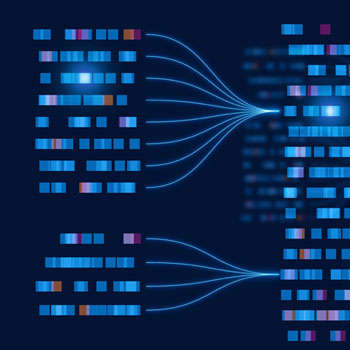 Unify Data